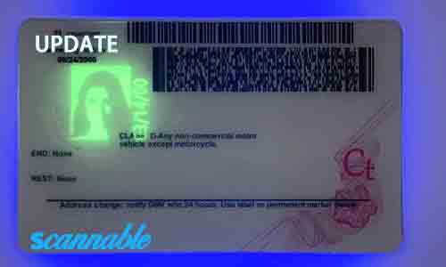 Connecticut Fake Id