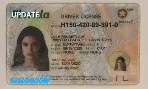 Florida Scannable Fake Id