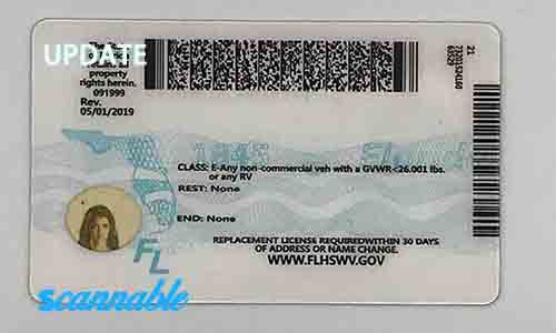 Florida Scannable Fake Id