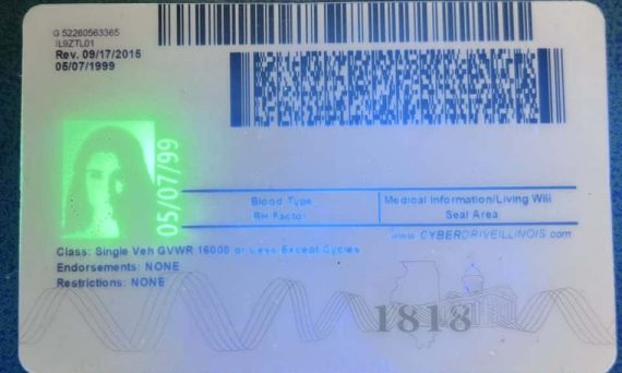 Illinois Fake Id