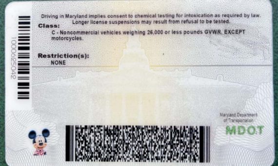 Maryland Fake Id