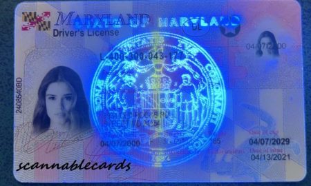 Maryland Fake Id