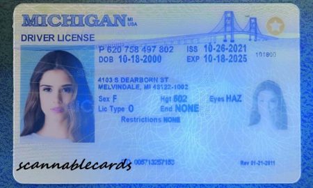 Michigan Fake Id
