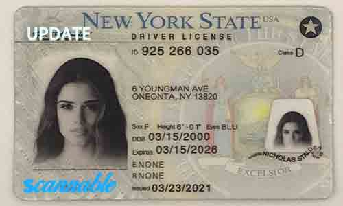 New York Fake Id