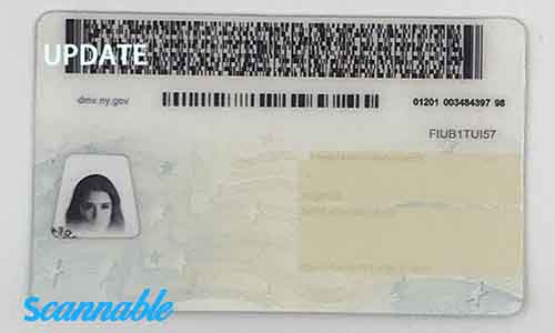 New York Fake Id