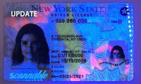 New York Fake Id