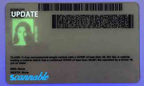 North Carolina Scannable Fake Id