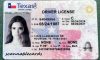 Texas Fake Id