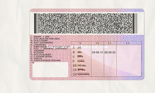 Albania Drivers License Fake Scannable