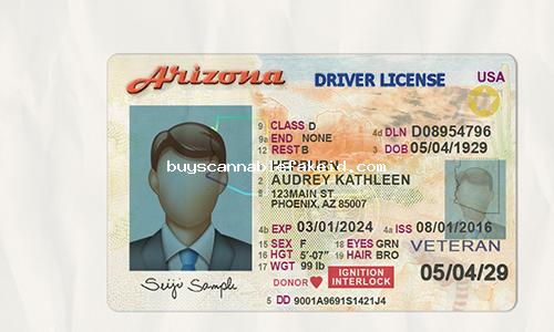 Arizona Drivers License Fake Scannable