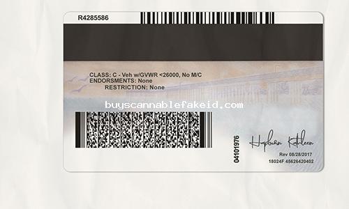 California Drivers License Fake Scannable