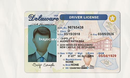 Delaware Drivers License Fake Scannable