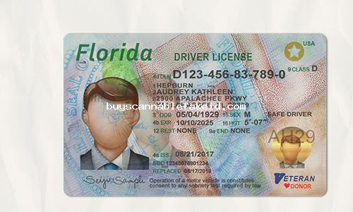 Florida Drivers License Fake Scannable