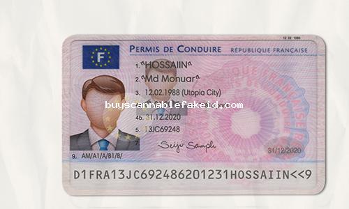 France Drivers License Fake Scannable