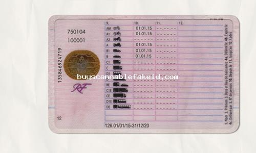 France Drivers License Fake Scannable