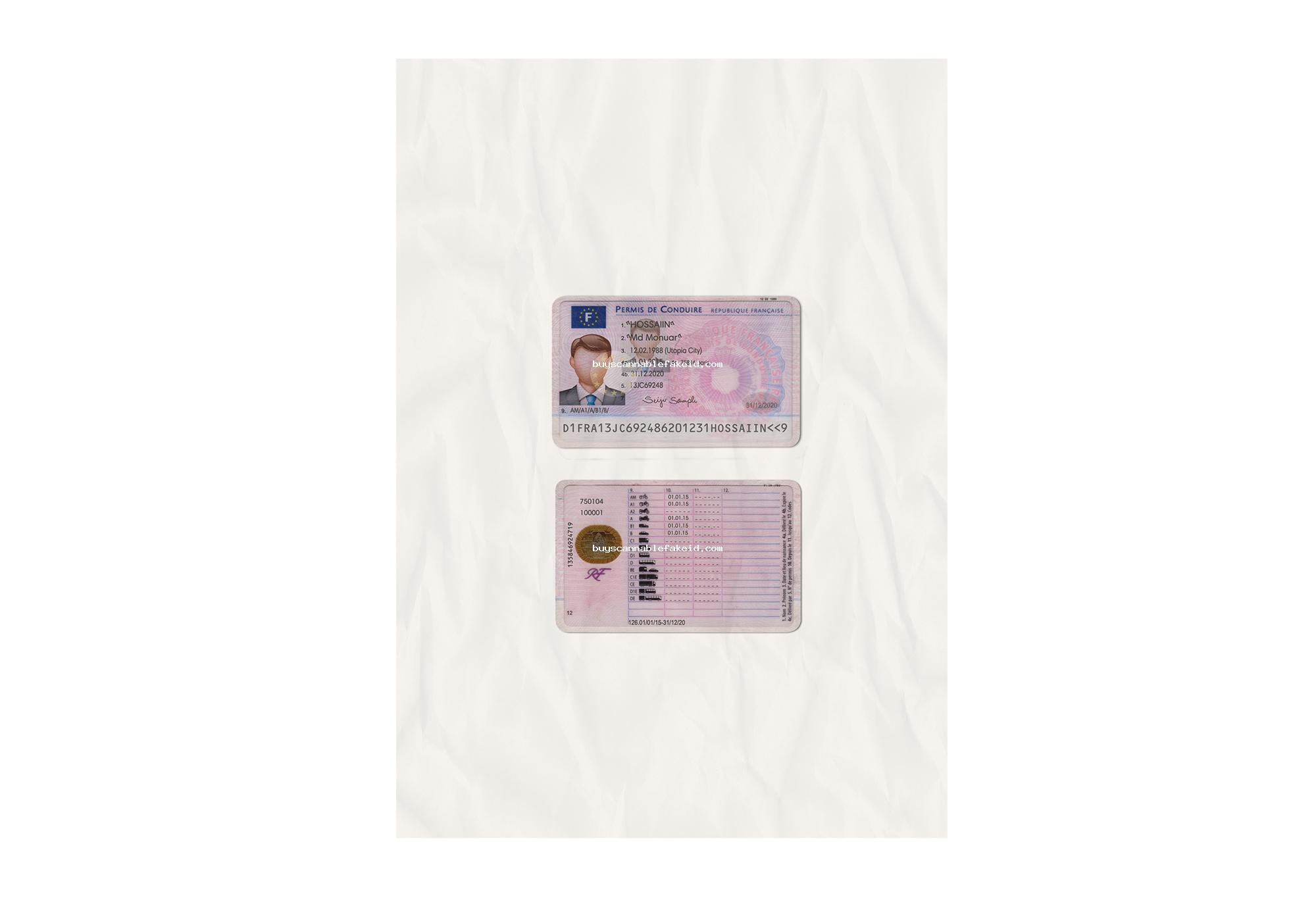 France Drivers License Fake Scannable