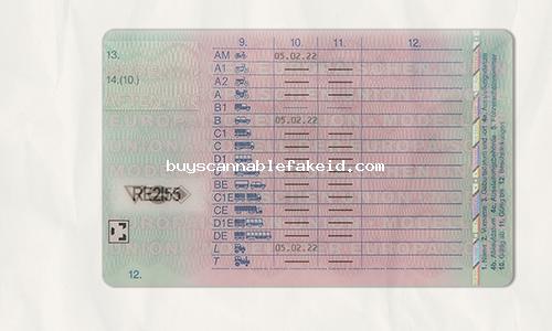 Germany Drivers License Fake Scannable
