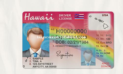 Hawaii Drivers License Fake Scannable