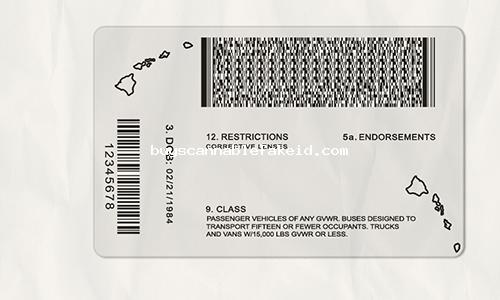 Hawaii Drivers License Fake Scannable