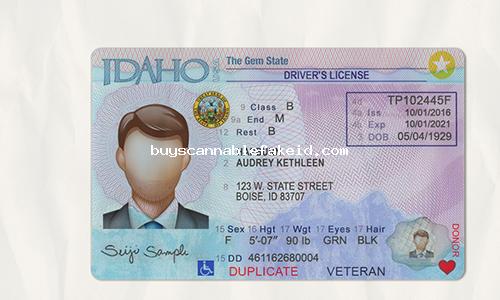 Idaho Drivers License Fake Scannable