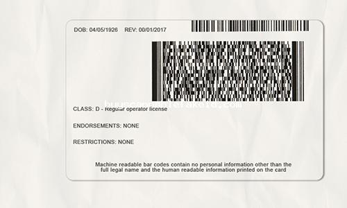 Idaho Drivers License Fake Scannable