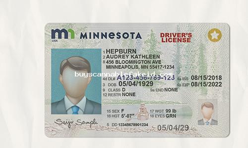 Minnesota Drivers License Fake Scannable