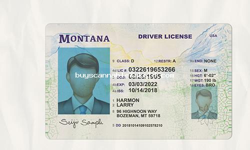 Montana Drivers License Fake Scannable
