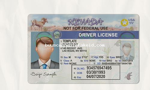 Nevada Drivers License Fake Scannable
