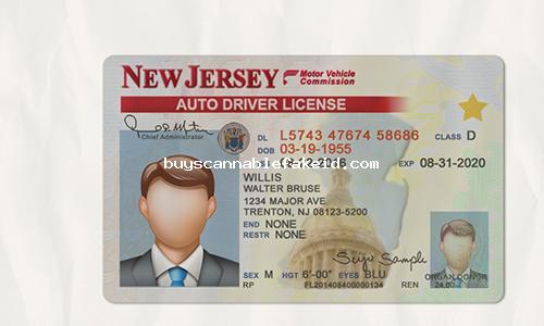 New Jersey Drivers License Fake Scannable