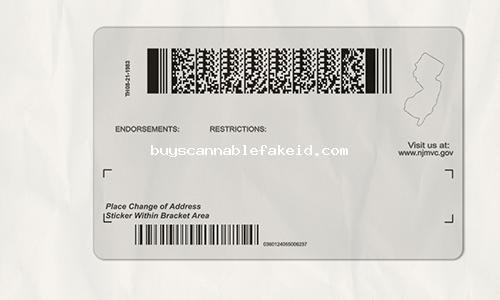 New Jersey Drivers License Fake Scannable