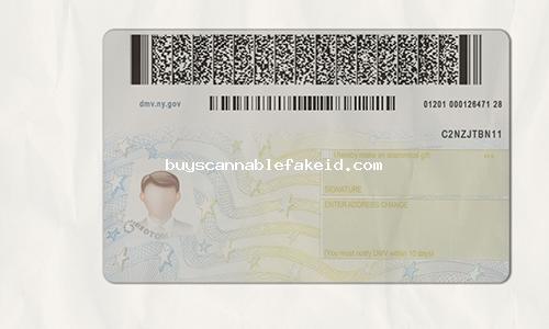 New York State Drivers License Fake Scannable