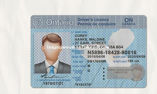 Ontario Drivers License Fake Scannable