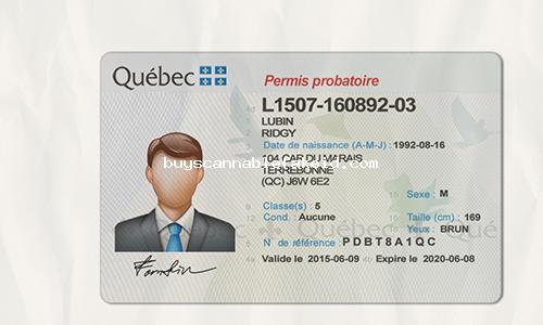 Quebec Drivers License Fake Scannable