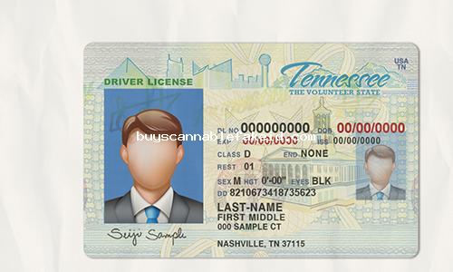 Tennessee Drivers License Fake Scannable