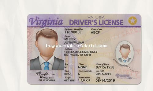 Virginia Drivers License Fake Scannable