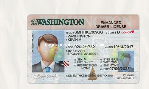 Washington Drivers License Fake Scannable