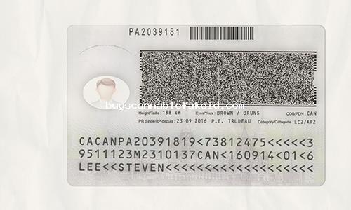 Canada Id Card Fake Scannable