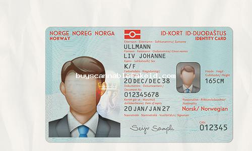 Norway Id Card Fake Scannable