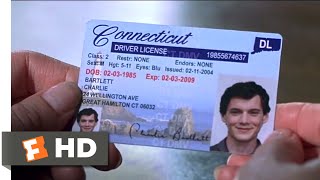 Buy Connecticut Fake Id
