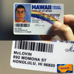 Buy Hawaii Fake Id