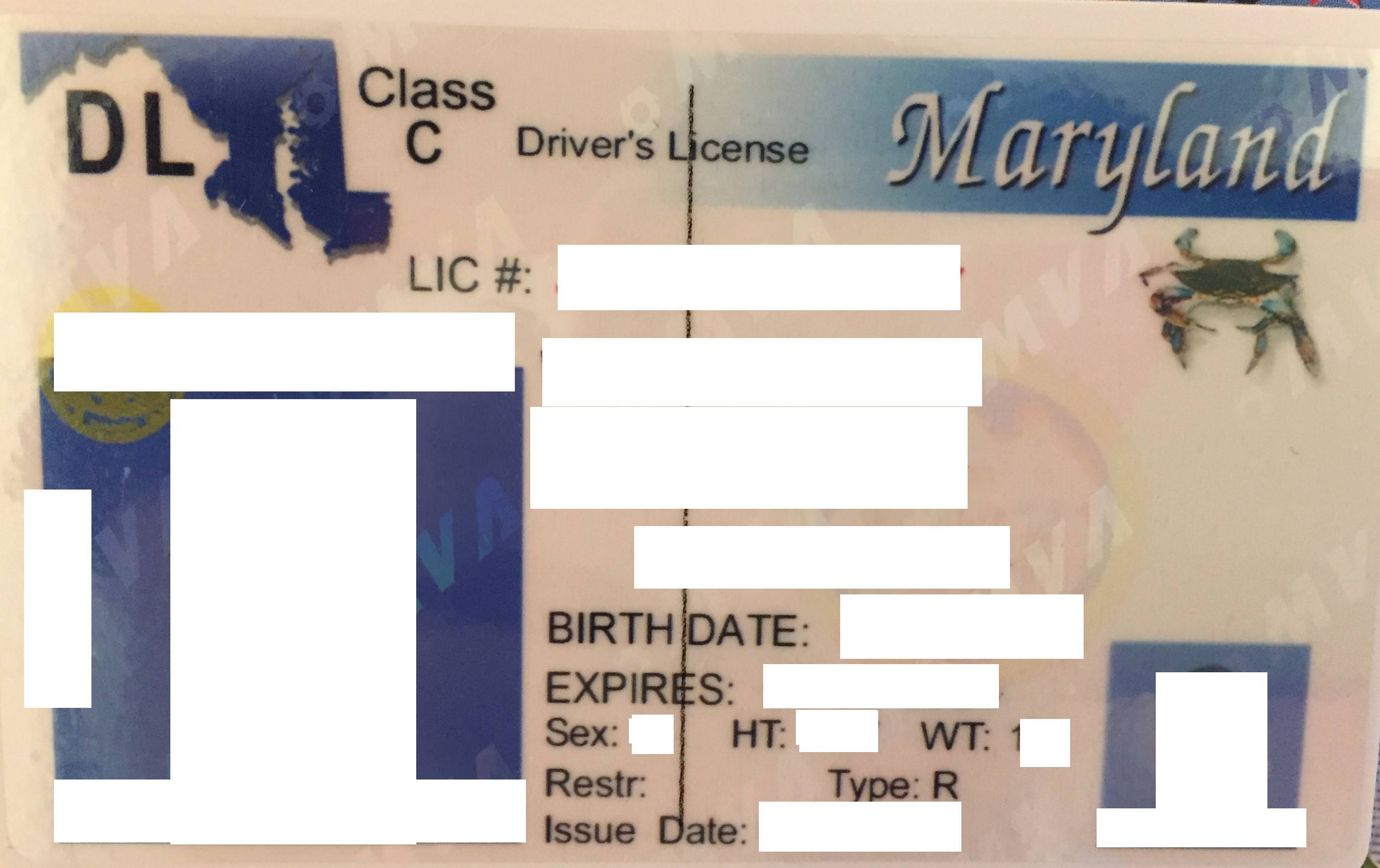 Buy Maryland Fake Id