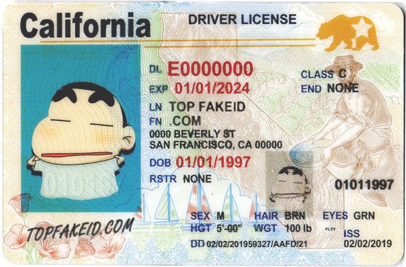 California Fake Id Charges