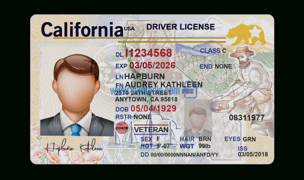 California Fake Id Templates