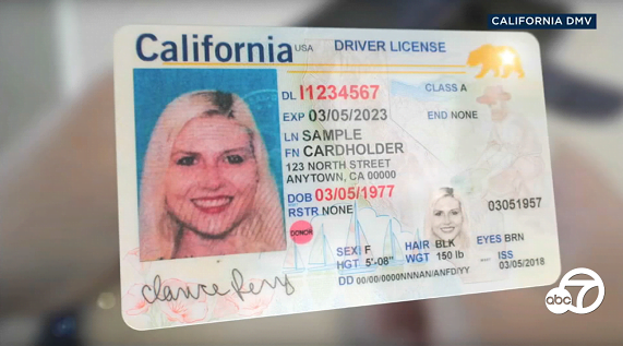 California Fake Id Templates