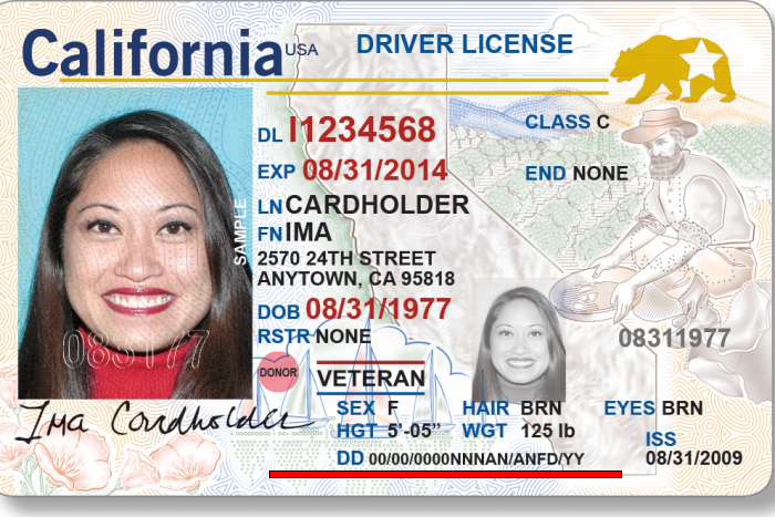 California Fake Id Templates