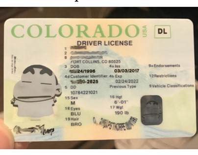 Colorado Fake Id Online