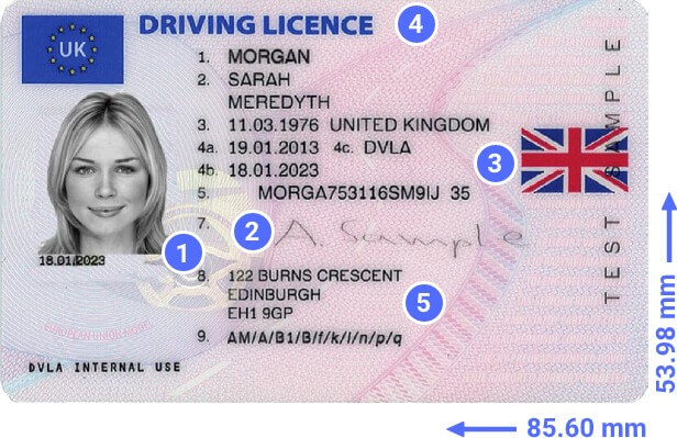 Fake Id Back Side