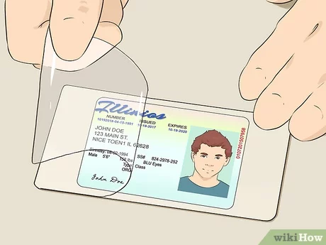 Fake Id Generator Online