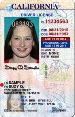 fake ids front and back