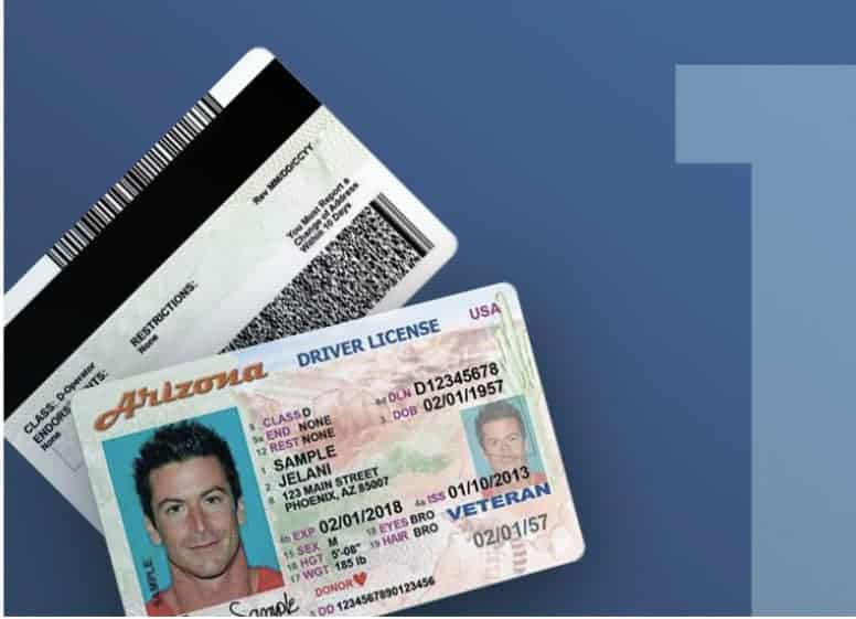 fake ids front and back